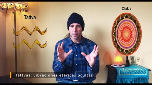 Chakras del cuerpo humano